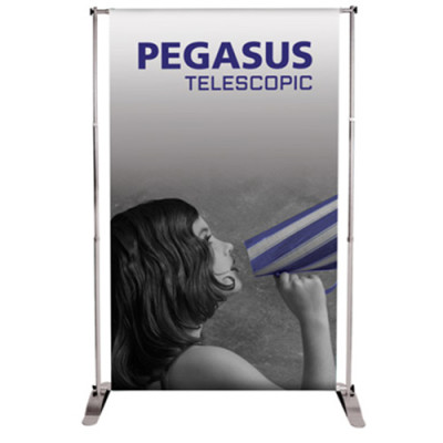 Pegasus_silver